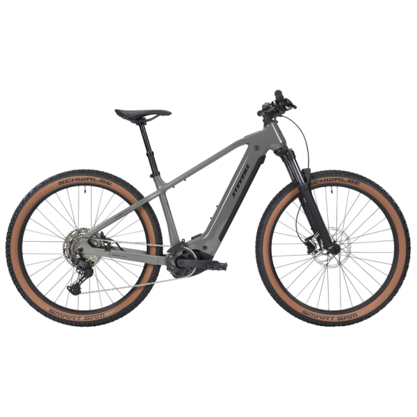 E-Mountainbikes Hardtail